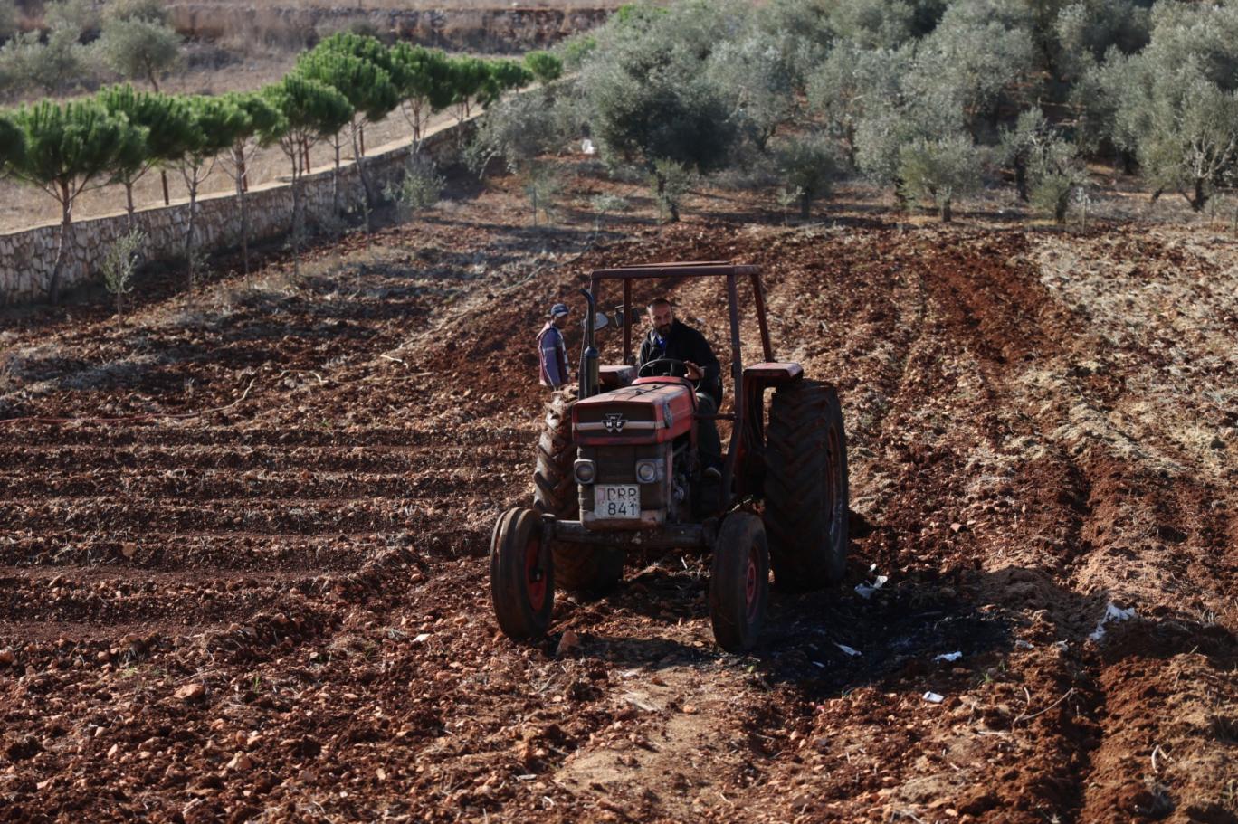 صورة حول : العوران: موجة الحر تهدد الزراعة الأردنية وتؤثر على الإنتاج النباتي والحيواني العوران: موجة الحر تهدد الزراعة الأردنية وتؤثر على الإنتاج النباتي والحيواني