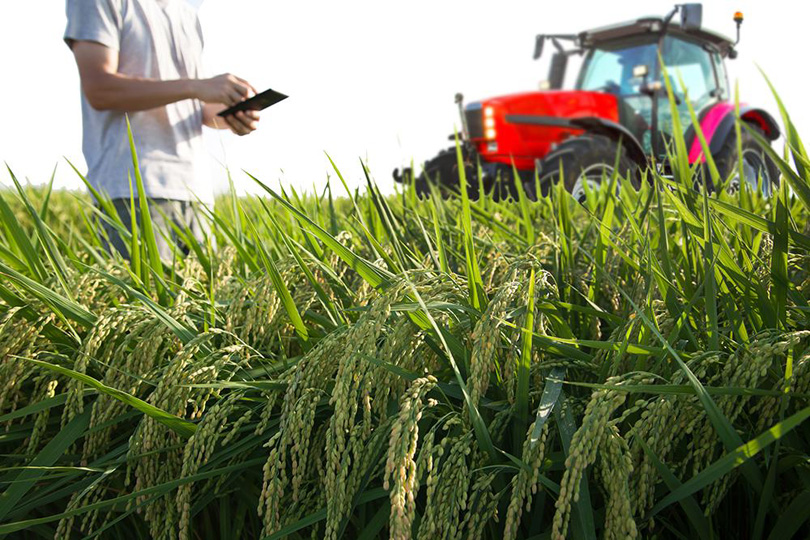 صورة حول : برنامج "أرضي" يواصل تعزيز صمود القطاع الزراعي الأردني ويستهدف توسعة نطاقه بتمويل إضافي برنامج "أرضي" يواصل تعزيز صمود القطاع الزراعي الأردني ويستهدف توسعة نطاقه بتمويل إضافي