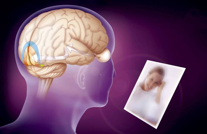 دراسة تكشف سر ترتيب الدماغ للذكريات وتأثير العاطفة عليها