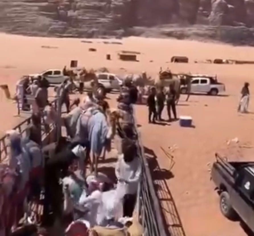 شاهد.. الحميمة واحة التاريخ والحياة