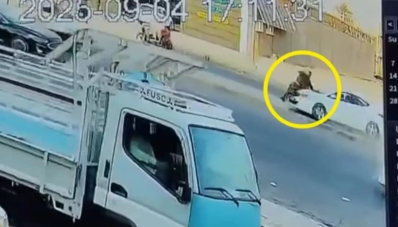 دهست شرطياً وتسببت بتحطيم مركبات.. حادث مروري خطير بالعراق