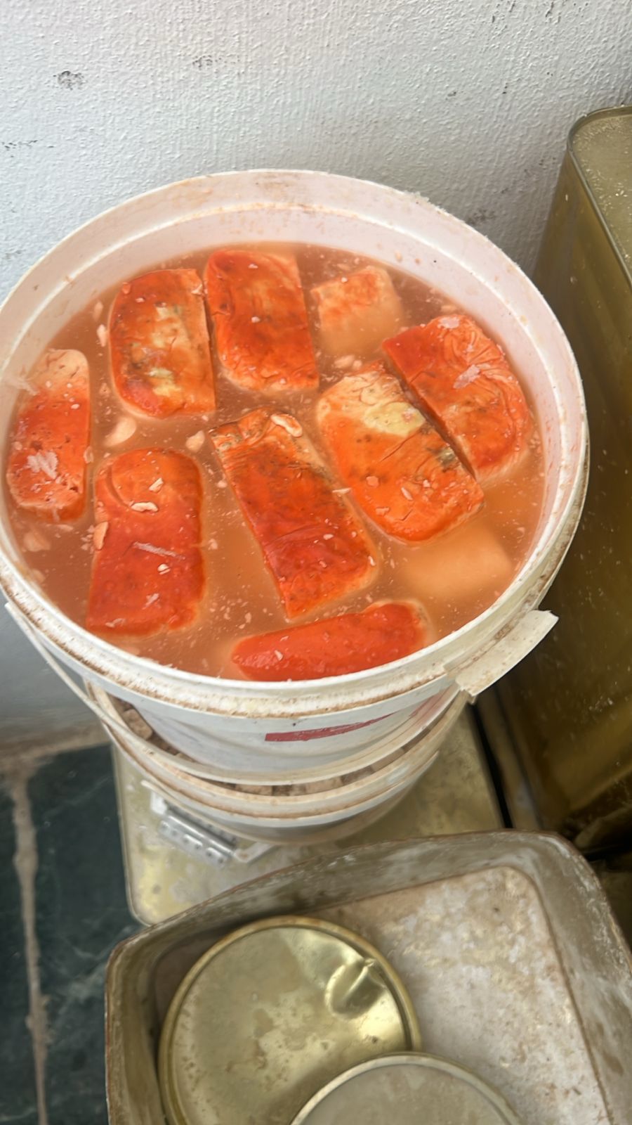 صورة حول : عاجل |الغذاء والدواء تتلف 5 أطنان جبنة فاسدة في موقع غير مرخص .. صور عاجل |الغذاء والدواء تتلف 5 أطنان جبنة فاسدة في موقع غير مرخص .. صور