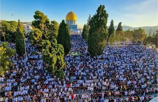 صورة حول : إجراءات الاحتلال تقلّص أعداد المصلين في المسجد الأقصى إلى 40 ألفًا إجراءات الاحتلال تقلّص أعداد المصلين في المسجد الأقصى إلى 40 ألفًا