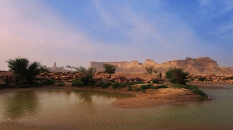 الحياة الفطرية السعودية توضح: تصوير الكائنات في بيئتها الطبيعية لا يعد مخالفة