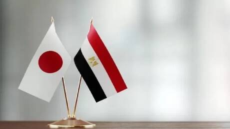 صورة حول : مظاهرات في طوكيو ضد مصر مظاهرات في طوكيو ضد مصر