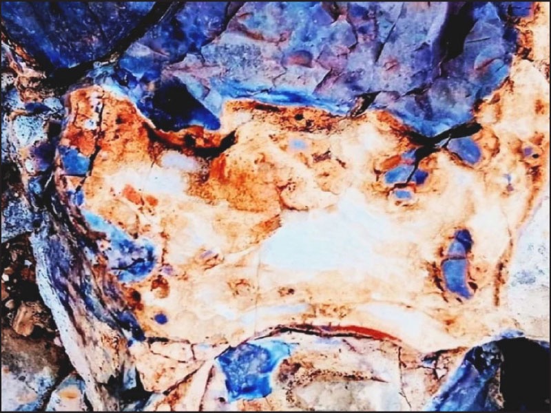 افتتاح معرض "كائنات: وجوه مقطوفة من سمفونية الأرض"