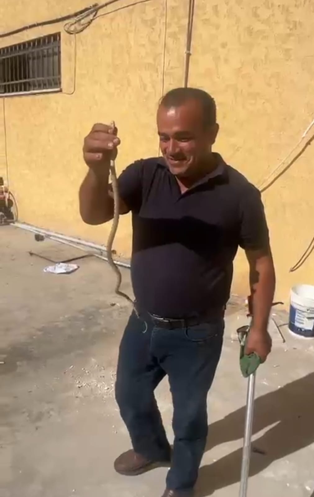 صورة حول : من الجهة المسؤولة عن التعامل مع الأفاعي.. فيديو من الجهة المسؤولة عن التعامل مع الأفاعي.. فيديو