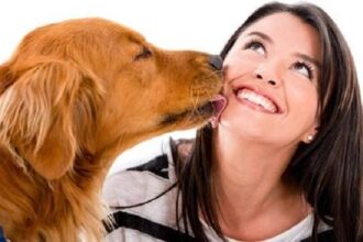 ماذا يحدث للنساء بعد قضاء ساعة مع الكلاب؟ نتائج صادمة!