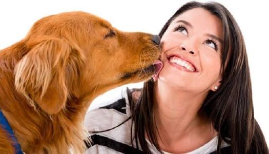 ماذا يحدث للنساء بعد قضاء ساعة مع الكلاب؟ نتائج صادمة!