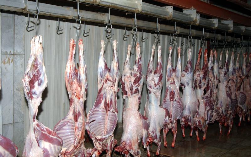 هام لسكان ماركا … نقل مسلخ عمّان إلى الماضونة