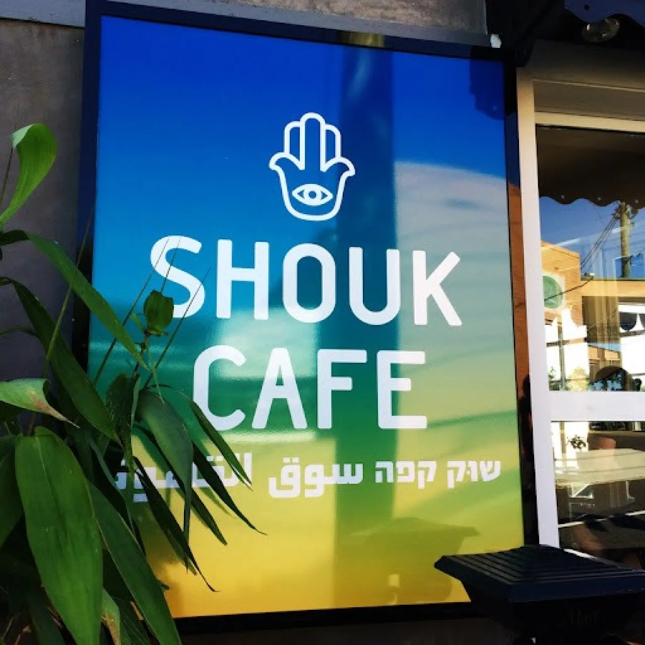 صورة حول : “شوك” الإسرائيلية تغلق جميع فروعها في أميركا بعد حملة مقاطعة بسبب حرب غزة “شوك” الإسرائيلية تغلق جميع فروعها في أميركا بعد حملة مقاطعة بسبب حرب غزة