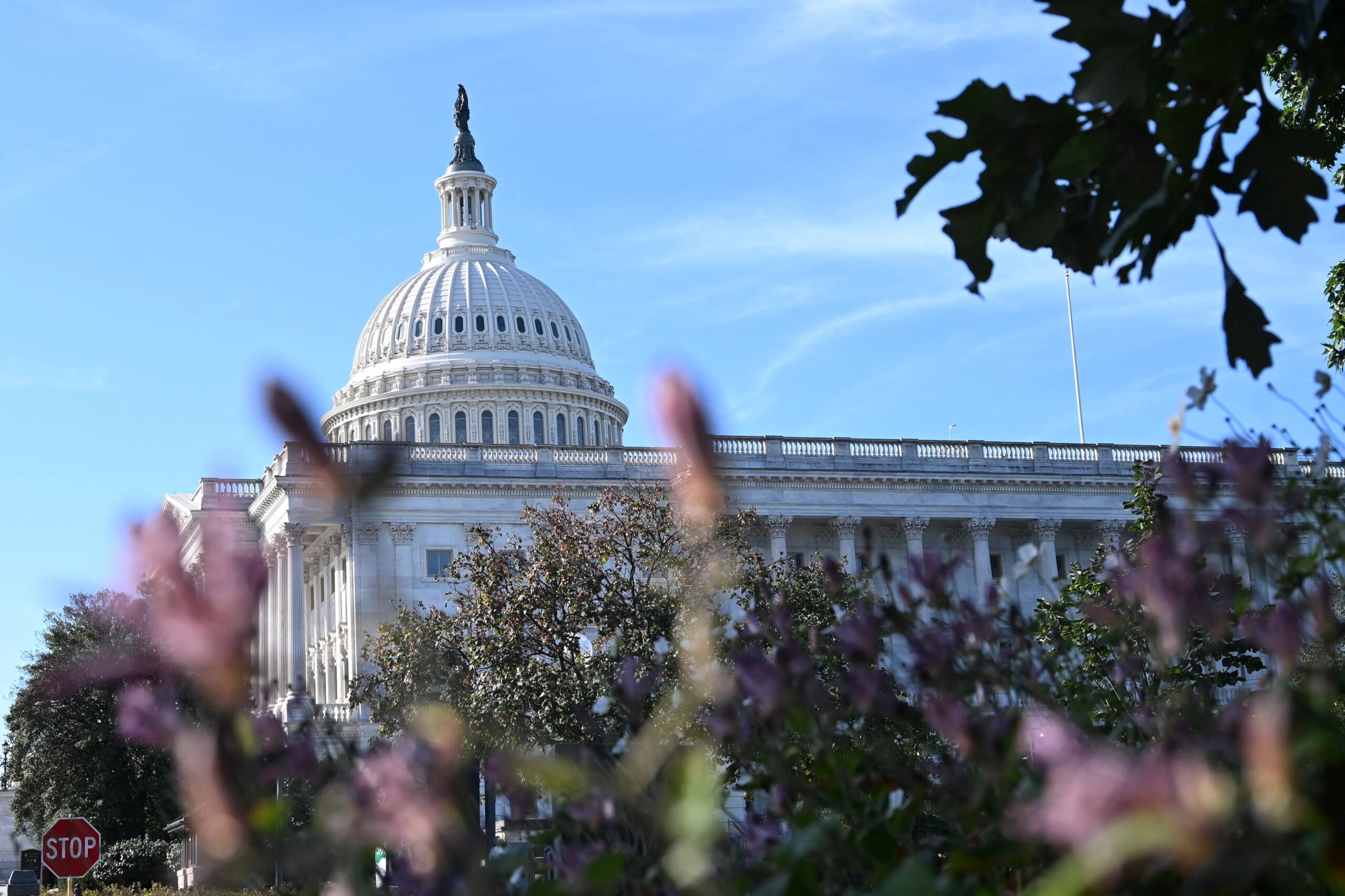 صورة حول : إغلاق الحكومة الأميركية يتواصل بعد فشل إغلاق الحكومة الأميركية يتواصل بعد فشل