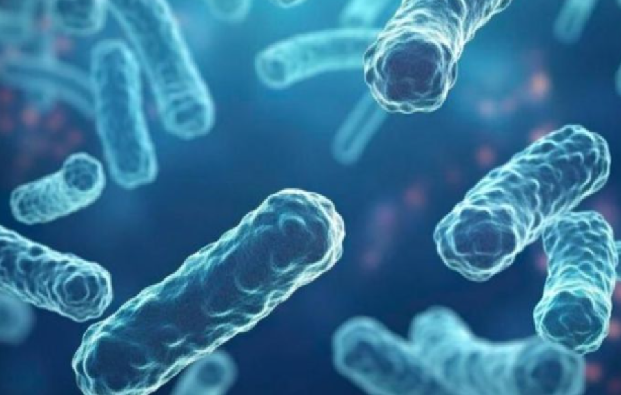 تسجيل حالتي وفاة بداء الدفتيريا في الجزائر