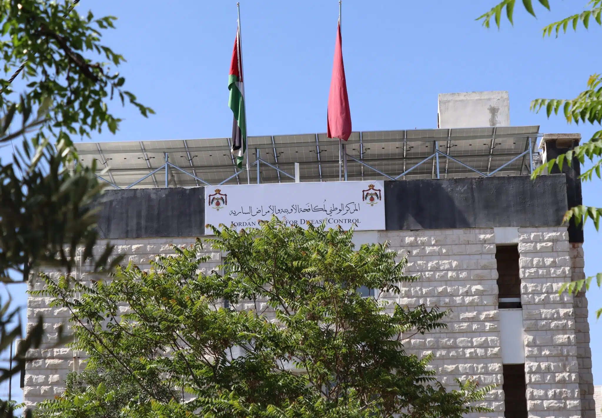 الأوبئة تؤكد: لا وجود لذبابة النمر الأسود بالأردن