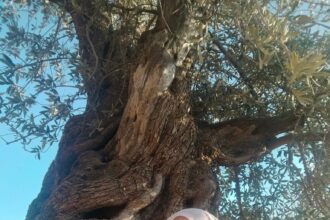 بالصور .. ريا التبناويه