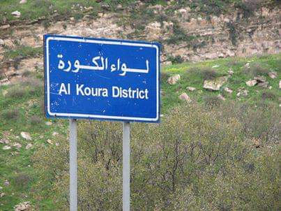 زراعة الكورة تدعو لتقليم الزيتون استعدادًا للموسم الجديد