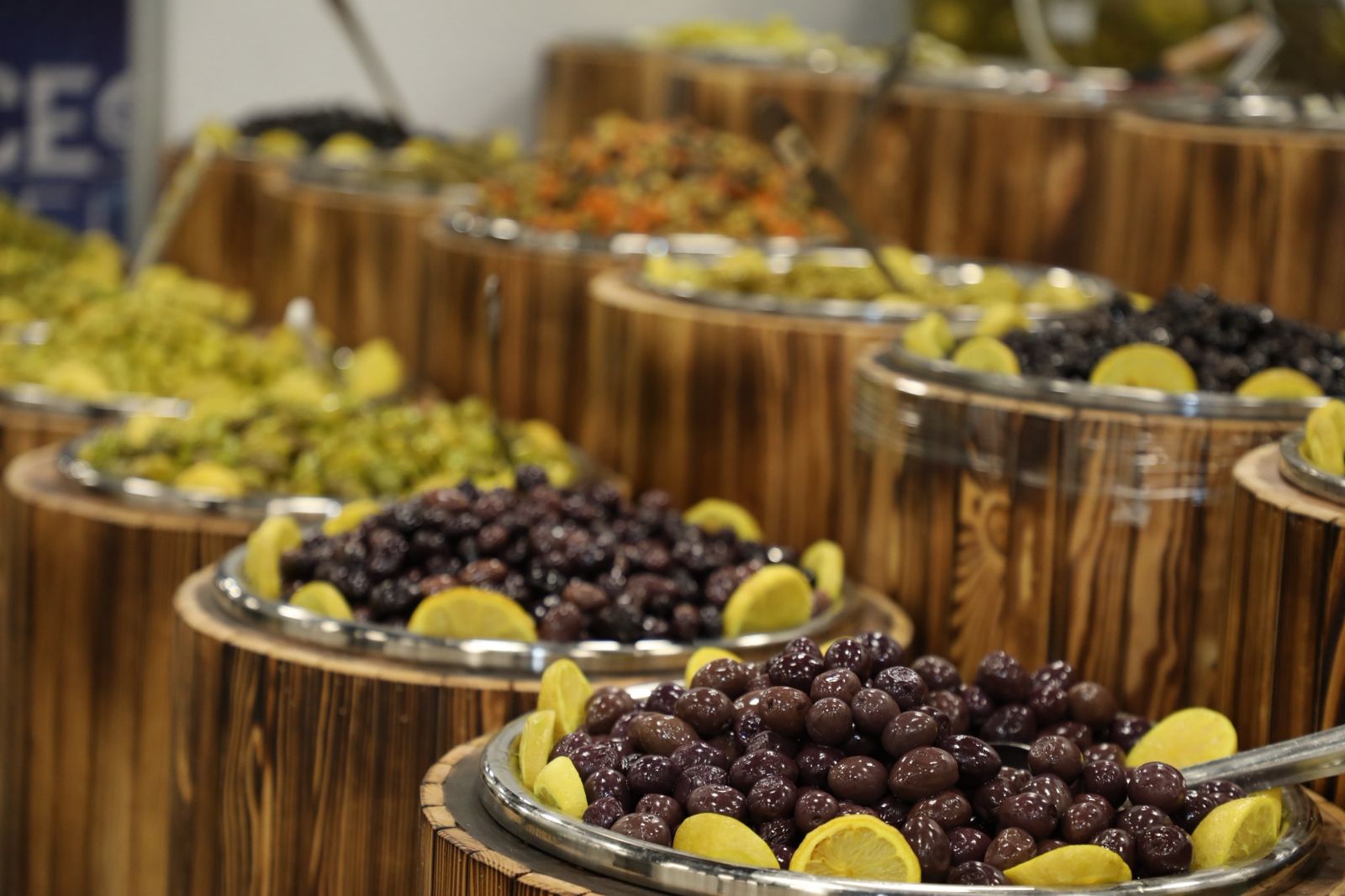 صورة حول : القضاة : “مهرجان الزيتون يعد الاضخم في الاردن و يستفيد منه آلاف الأردنيين” القضاة : “مهرجان الزيتون يعد الاضخم في الاردن و يستفيد منه آلاف الأردنيين”