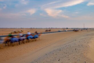 روان صلاح تهزم المنافسات وتتصدّر سباق الهجن في الإمارات