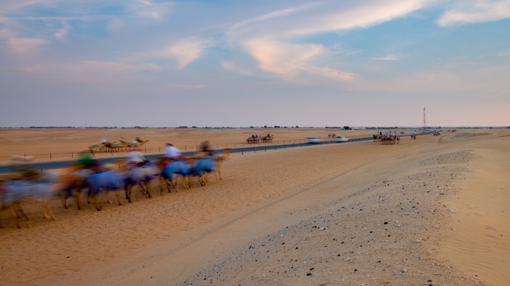 صورة حول : روان صلاح تهزم المنافسات وتتصدّر سباق الهجن في الإمارات روان صلاح تهزم المنافسات وتتصدّر سباق الهجن في الإمارات