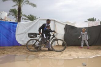 الصفدي وعبد العاطي يناقشان جهود تثبيت وقف إطلاق النار في غزة