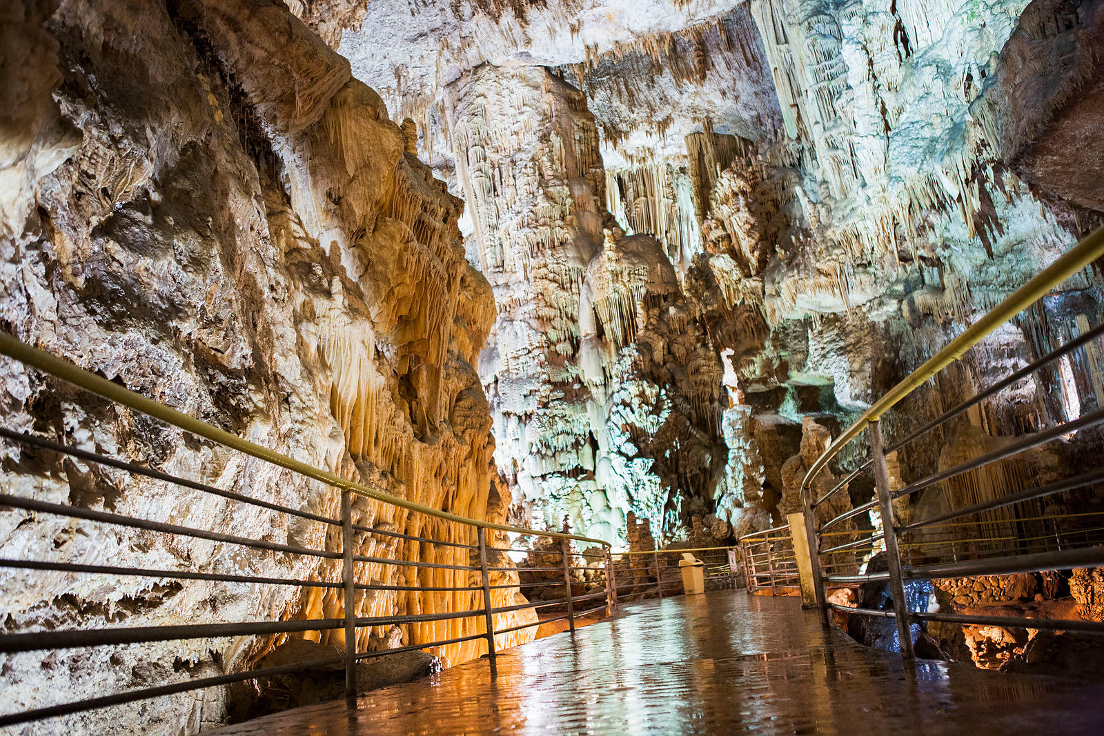 صورة حول : إقفال مغارة جعيتا لحين انتهاء التحقيق إقفال مغارة جعيتا لحين انتهاء التحقيق