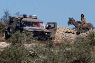مستوطنون يسيجون أراضٍ بالأغوار الشمالية
