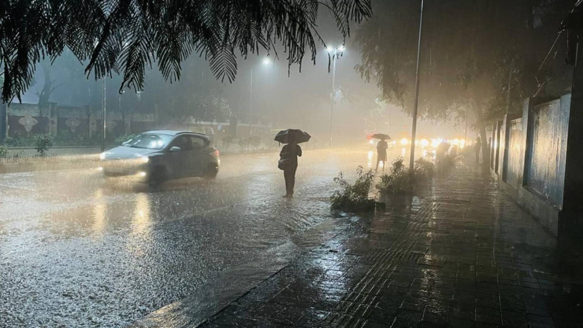 هطول أمطار غزيرة يشمل مناطق واسعة في إربد