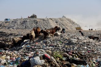 البنك الدولي يعلن تأييده لمشروع قرار أميركي بشأن "مجلس السلام" لإدارة غزة