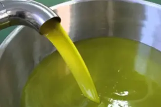 سوريا: تنكة زيت الزيتون تستقر عند 70 دينارا