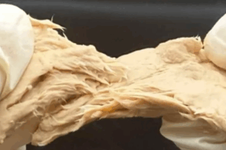 بديل اللحوم .. تعديل فطر غذائي ليصبح ألذ طعماً وأكثر بروتيناً