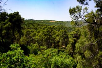 دبين وجهة سياحية طبيعية تجمع بين الجمال والثراء البيئي