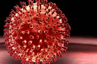 مخاوف من فيروس قد يسبب جائحة أشد من كوفيد-19
