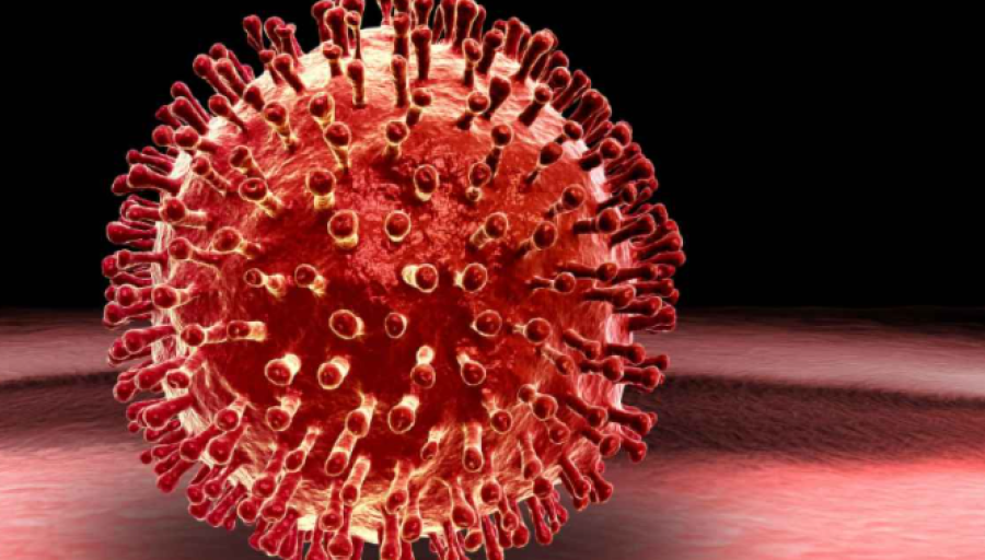 صورة حول : مخاوف من فيروس قد يسبب جائحة أشد من كوفيد-19 مخاوف من فيروس قد يسبب جائحة أشد من كوفيد-19