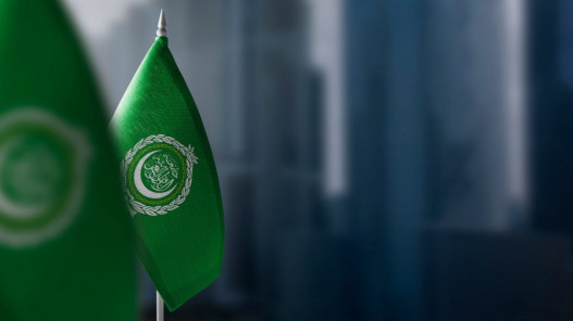 جامعة الدول العربية تدعو المجتمع الدولي لتكثيف الدعم لإعادة إعمار غزة