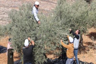 الأمم المتحدة تدعو إلى محاسبة المستوطنين بالضفة