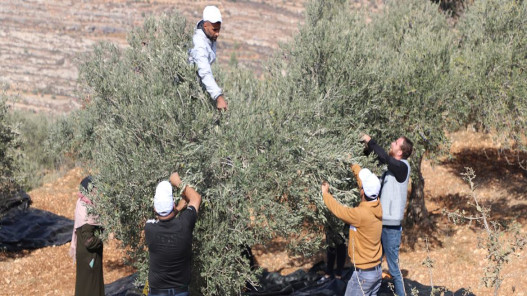صورة حول : الأمم المتحدة تدعو إلى محاسبة المستوطنين بالضفة الأمم المتحدة تدعو إلى محاسبة المستوطنين بالضفة
