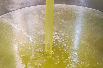 تنكة الزيت المصري بـ70 ديناراً.. والزراعة تفتح باب الاستيراد لتخفيف الأسعار