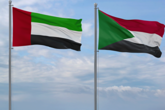 الإمارات تصدر نتائج التحقيق المرتبط بمحاولة تهريب عتاد عسكري إلى السودان