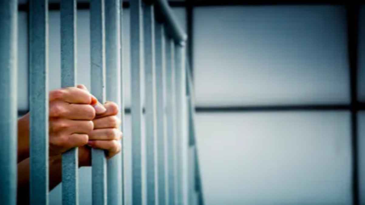 صورة حول : إعدام طبيب شنقاً بعد قتله زوجته وأفراد عائلتها في أربيل إعدام طبيب شنقاً بعد قتله زوجته وأفراد عائلتها في أربيل