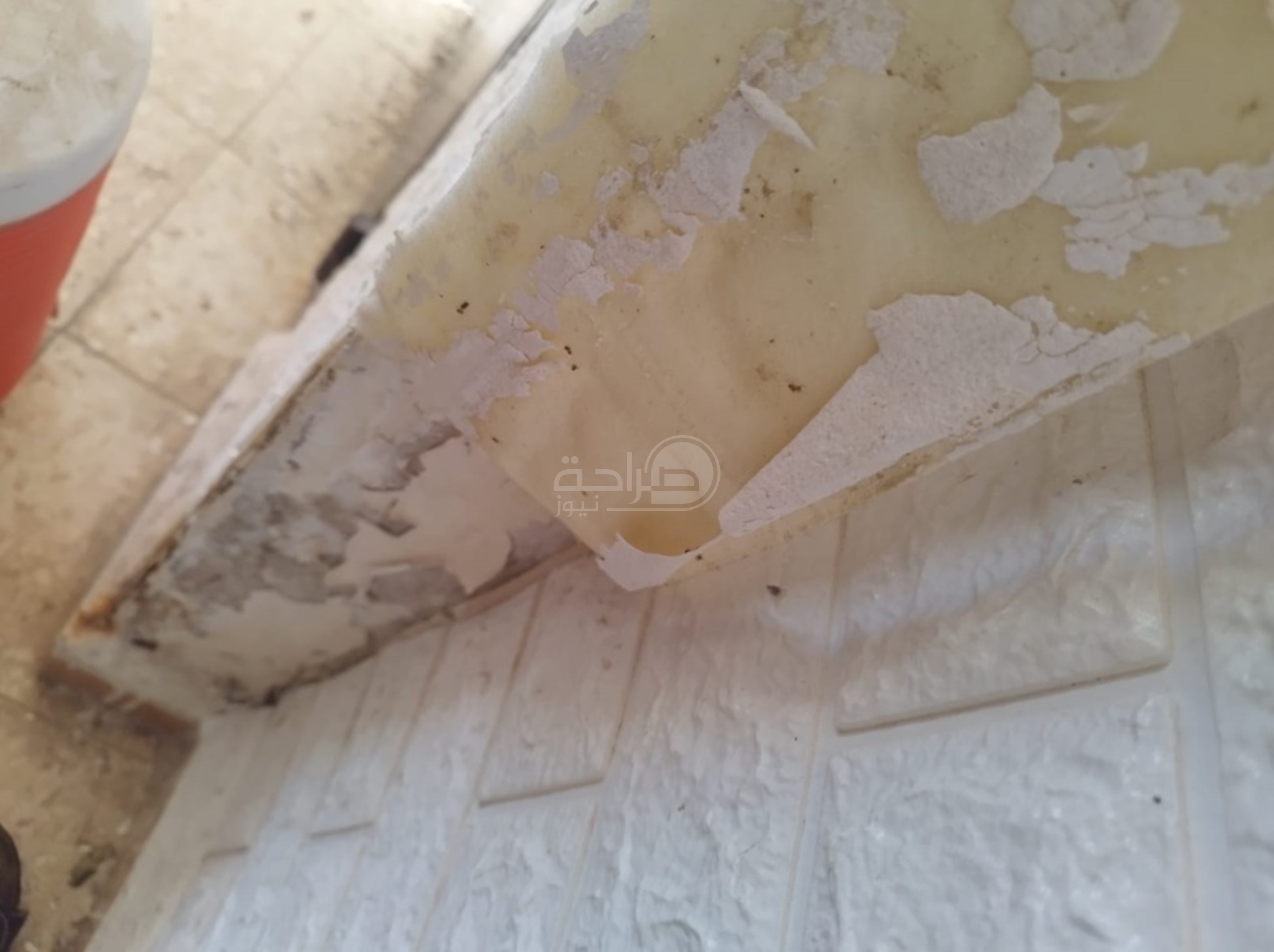 عاجل | فئران ورائحة مجاري وتردي مساكن أئمة المساجد… والصمتٌ يعم خوفاً من العقاب في جرش ..صور