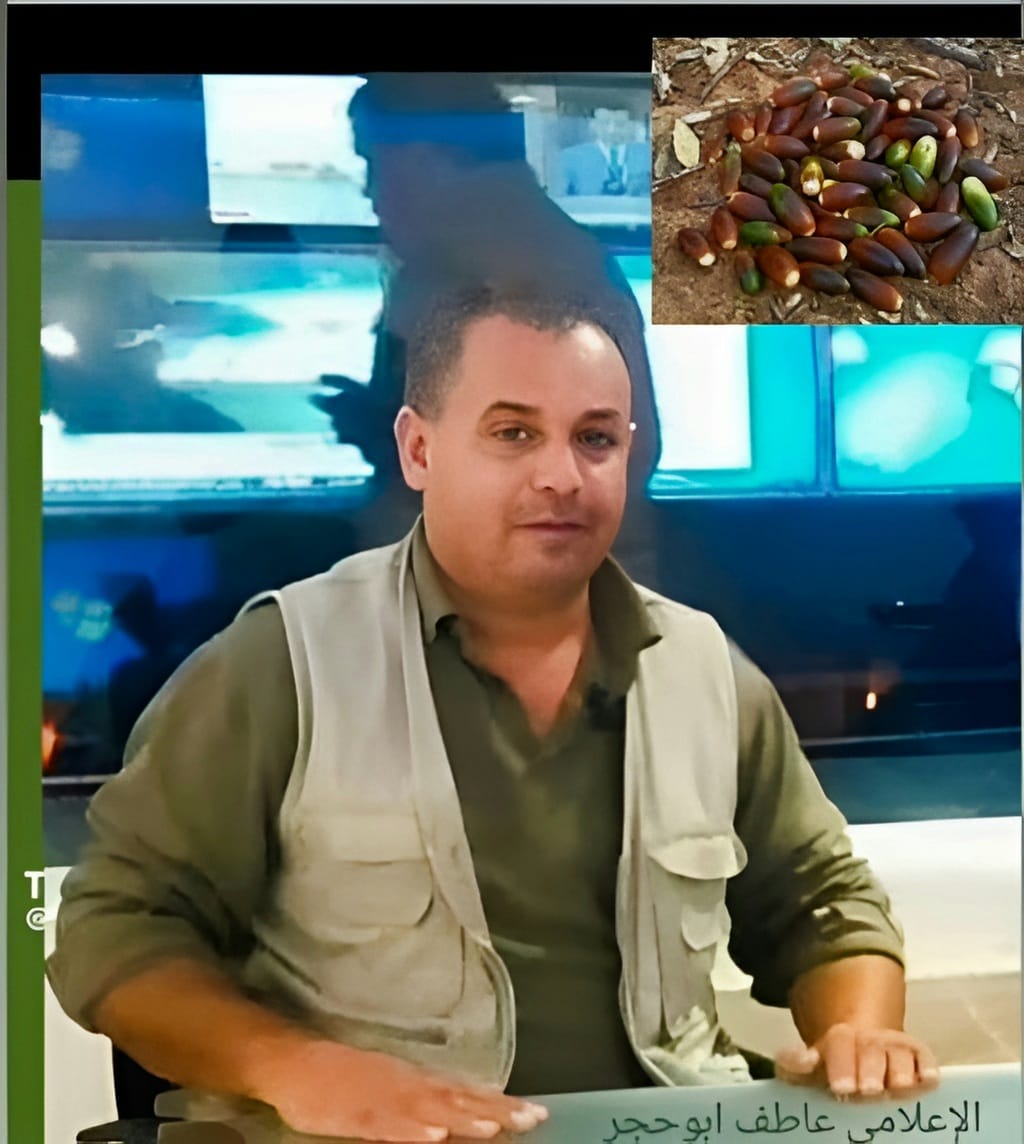 بلوطُنا وكستناؤهم