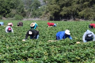 هطولات مطرية غزيرة تبشر بموسم زراعي جيد في إربد