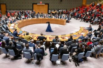 مجلس الأمن يعقد جلسة طارئة حول اعتراف إسرائيل بـ«أرض الصومال»