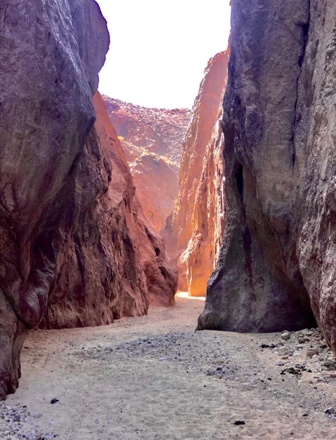 صورة حول : متقاعد بالبادية يضع منطقته على خارطة السياحة... ما التفاصيل؟ متقاعد بالبادية يضع منطقته على خارطة السياحة... ما التفاصيل؟