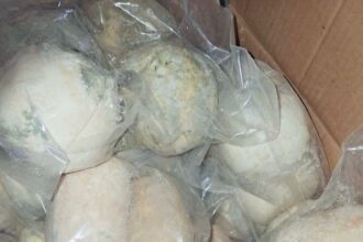 عاجل | إغلاق مستودع جميد غير مرخص وضبط 25 طنًا فاسدًا في عمان.. صور