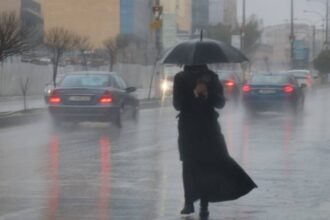 تحذير هام .. ضباب كثيف وزخات مطرية تزيد خطر الانزلاق الأحد