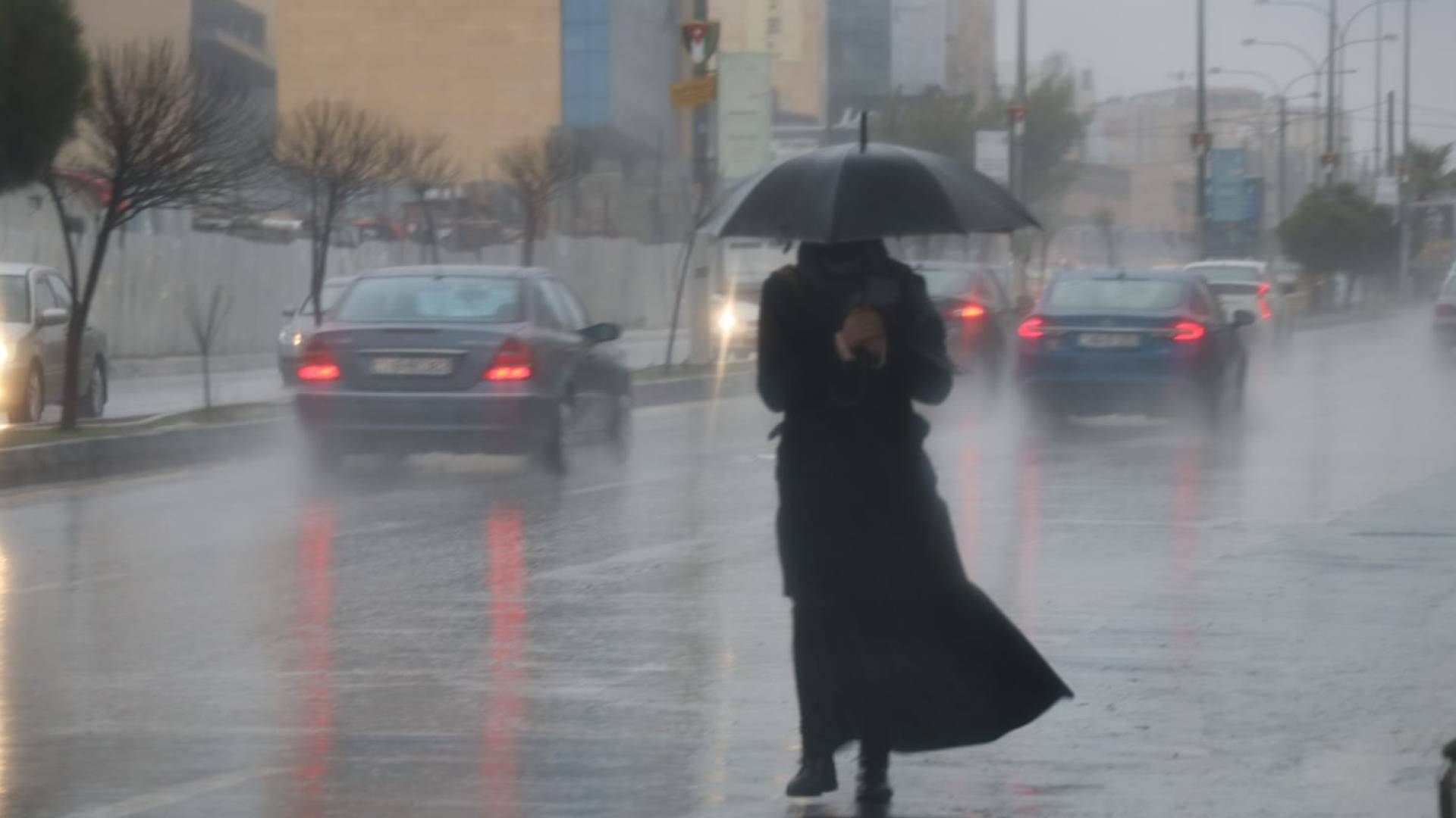 تحذير هام .. ضباب كثيف وزخات مطرية تزيد خطر الانزلاق الأحد