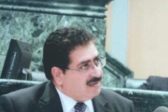 الشوبكي للنواب "اختصروا المشهد وريحوا حالكم "