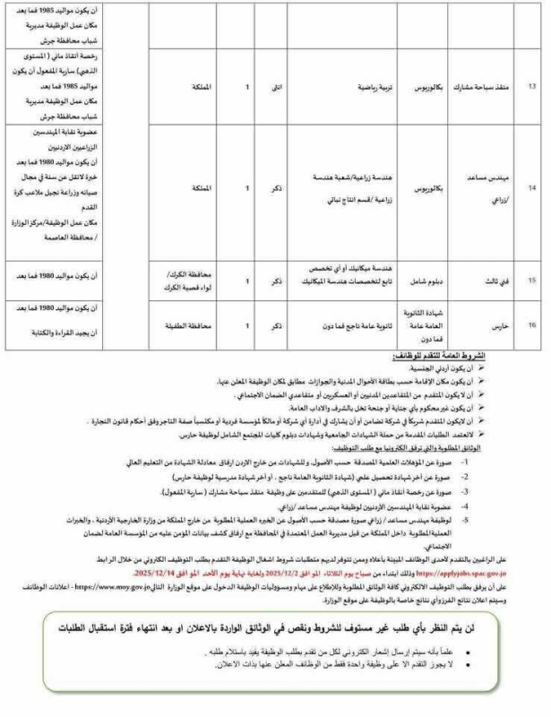 وزارة الشباب تفتح التقديم على وظائف بعقود سنوية