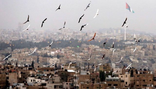 الطقس :استقرار نسبي على الأجواء واحتمال أمطار خفيفة شمال المملكة